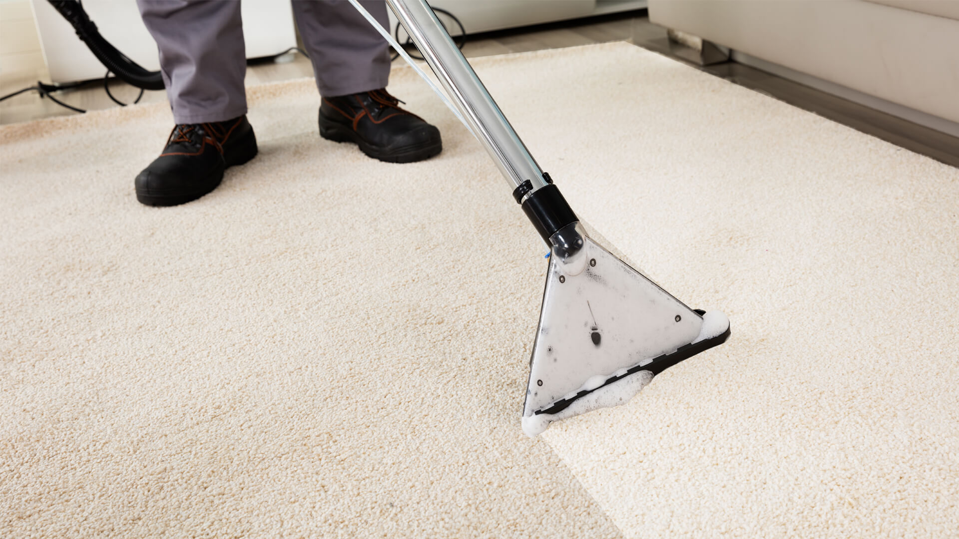 Carpet cleaning Mansfield